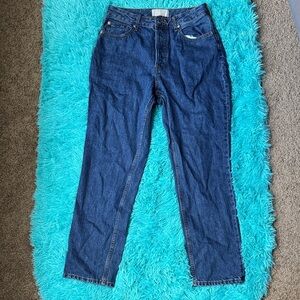 Everlane Organic Cotton Blue Jeans